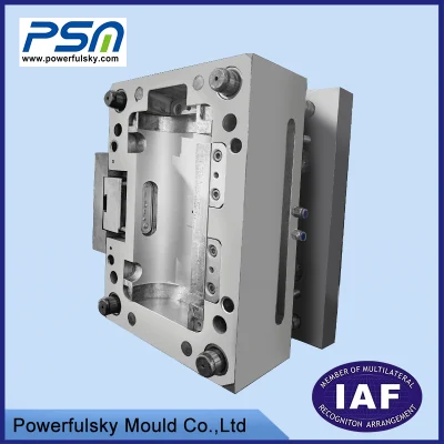 Custom Multi Cavity Daily Use PP Plastic Injection Blow Mould
